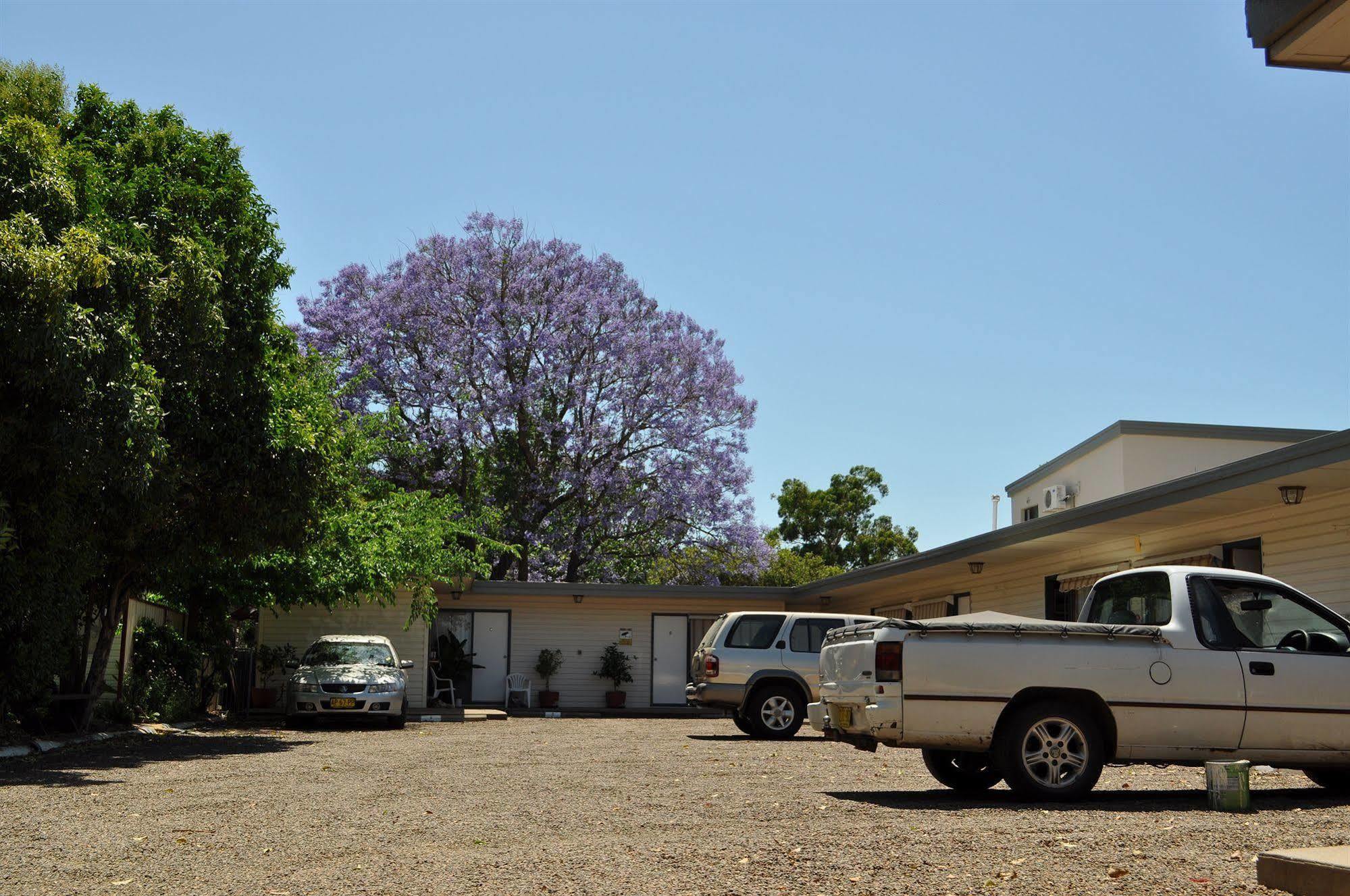 Red Cedar Motel Muswellbrook Exterior foto